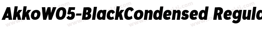 AkkoW05-BlackCondensed Regular字体转换